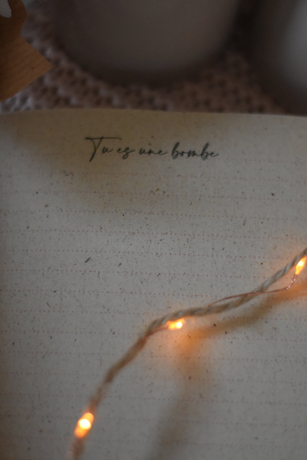 Carnet de notes ouvert, avec un message en haut de la page "Tu es une bombe", posé sur un plaid rose, entouré d’une guirlande lumineuse.